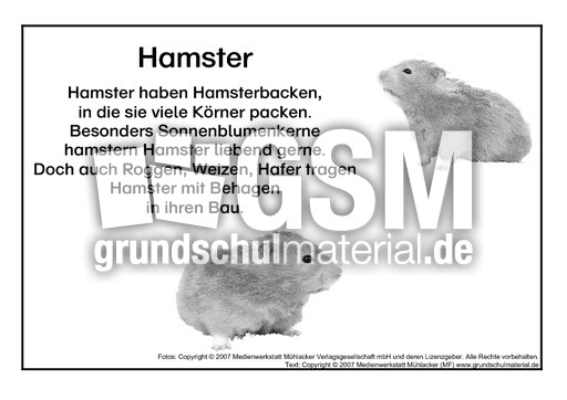 Hamster-SW.pdf